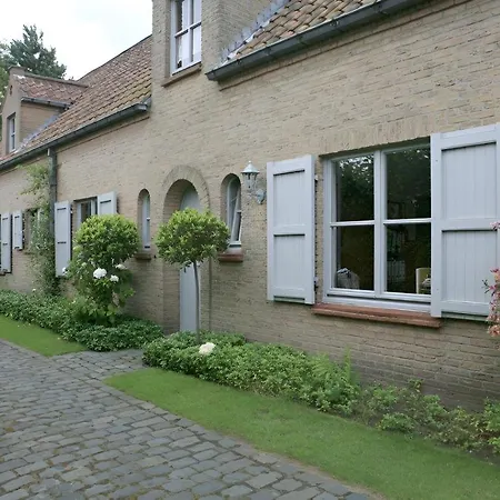 Pivoné Assebroek * Bruges